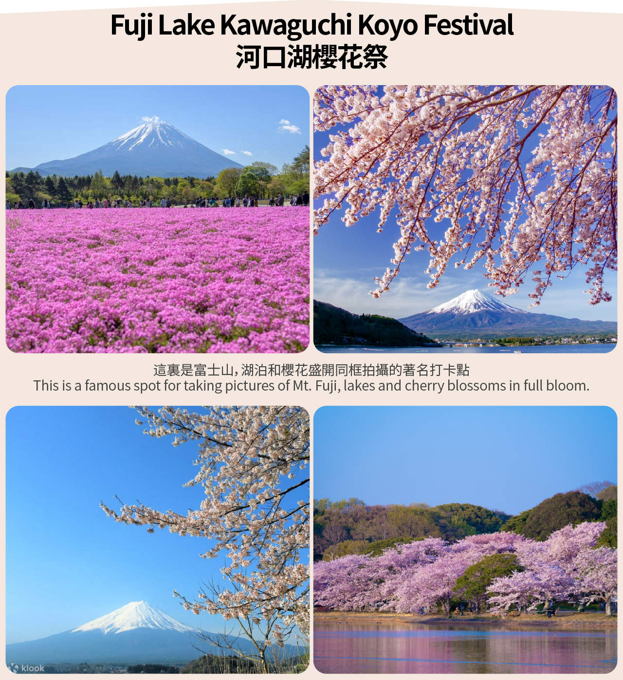 [Tiga Danau Fuji] Kawaguchiko & Yamanakako & Shojiko & Fuji & Kota ...
